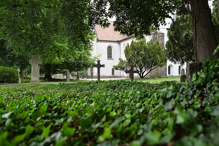 Auf einer teils mit Efeu bewachsenen Fläche stehen Grabsteine und Grabkreuze, im Hintergrund sind Teile der Kirchenfassade in Marienwerder zu sehen.